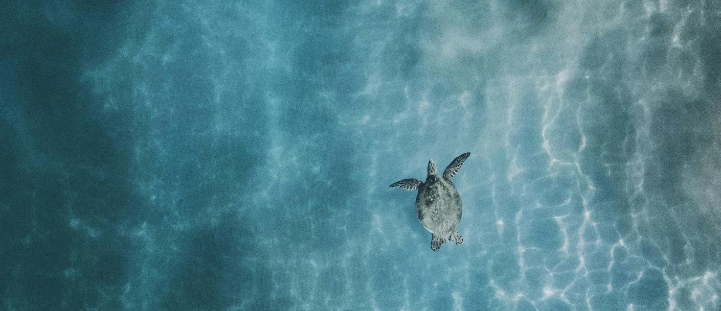 Hawaii © mitch-meyers-unsplash