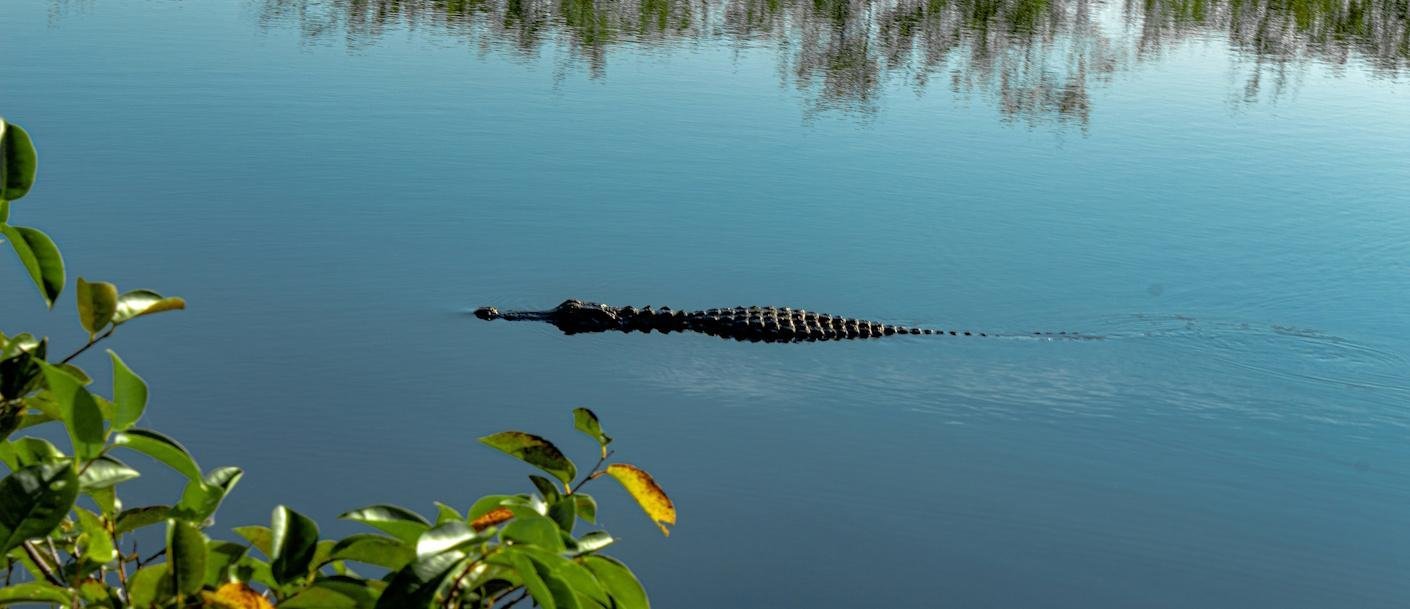 Florida - ©jonathan-martin-pisfil-unsplash