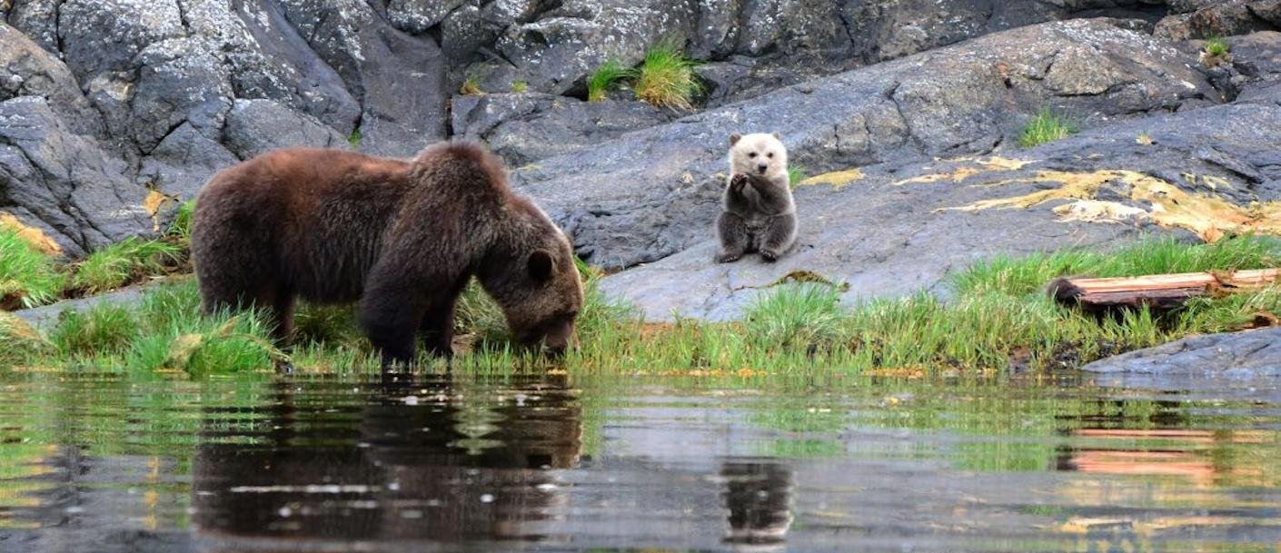 Knight Inlet Lodge2 © Grizzlytours