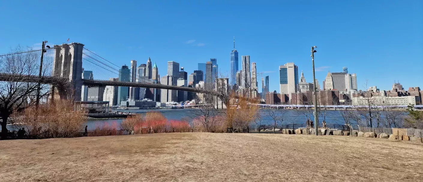 AmerikaPlus - Skyline New York