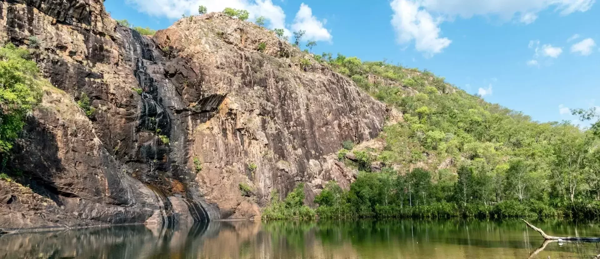 Kakadu - AustraliePlus ©vladimir-haltakov-lkZ-unsplash.webp