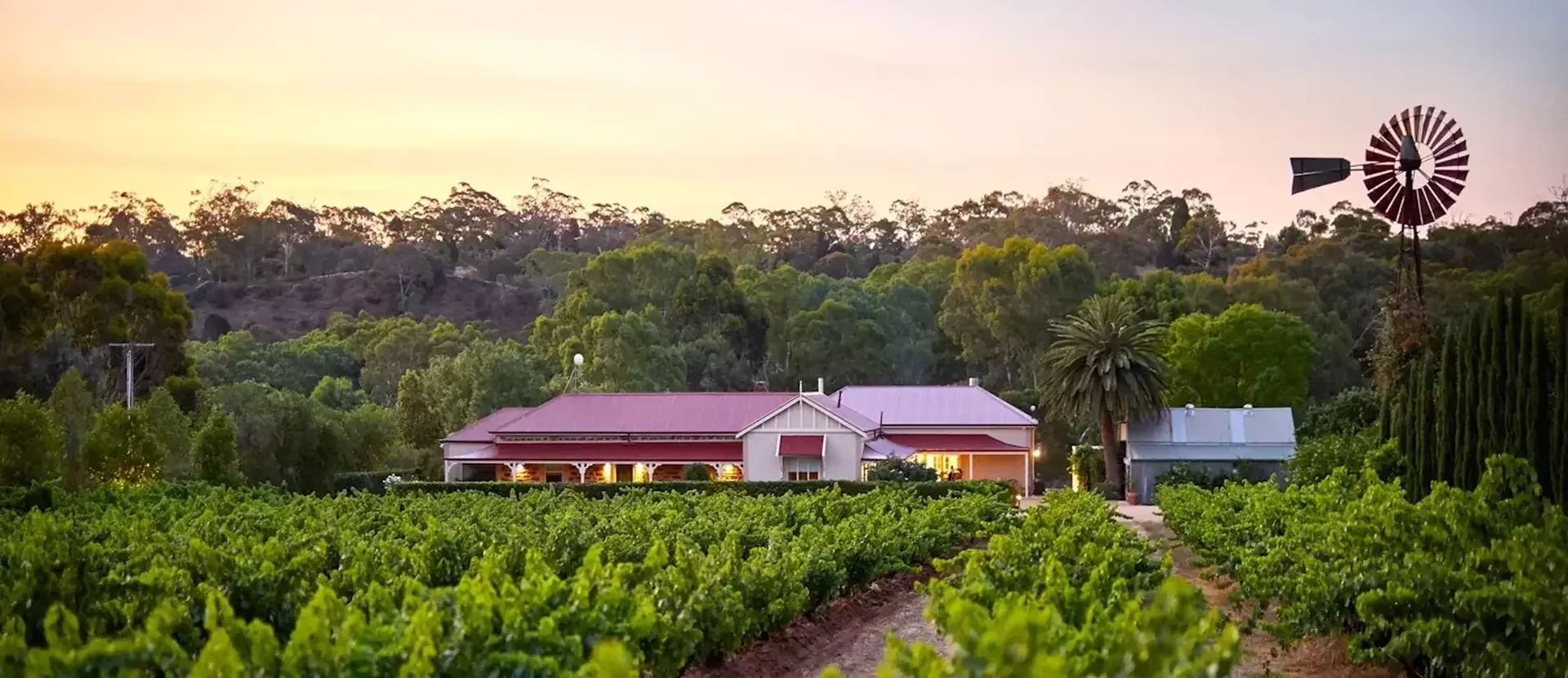 BarossaValley-AustraliePlusSouthAustralia.webp