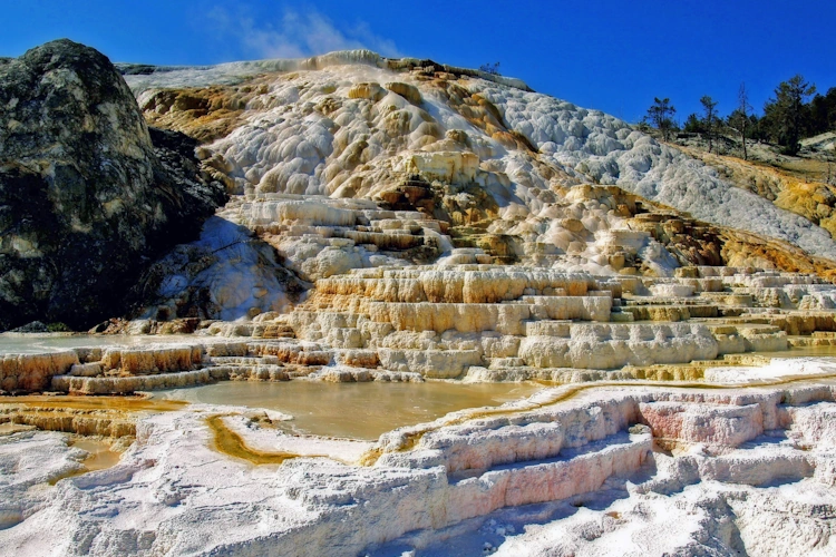 Mammoth Hot Springs thanks to ArtTower.webp