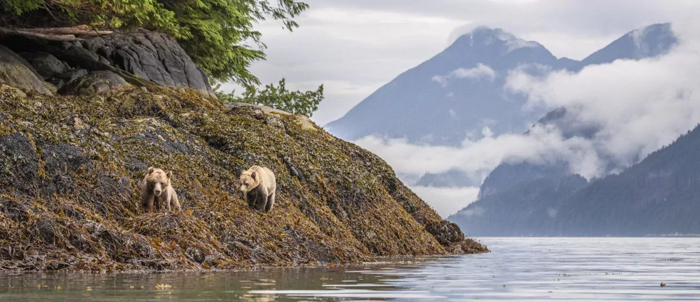 Sailcone's Grizzly Bear Lodge 002.webp