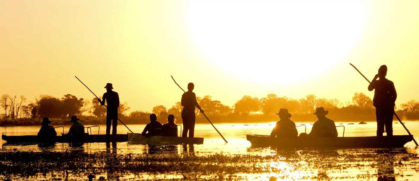 Okavango Delta groot 03092025 002.webp