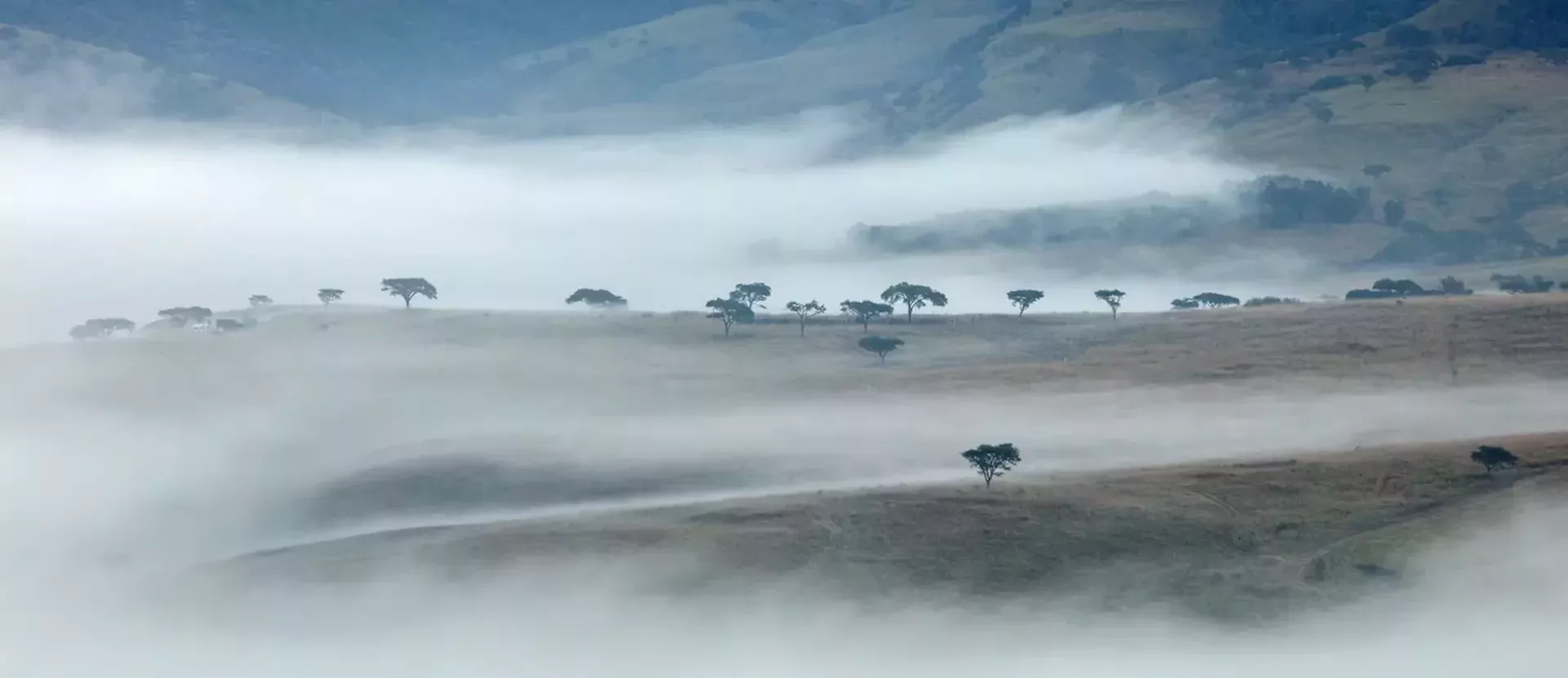Kaart autoreis Zuid-Afrika Van Safari tot de Kaapse Wijnlanden 004.webp