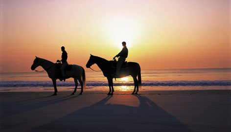 Klik op de afbeelding voor een vergroting Amelia Island 001