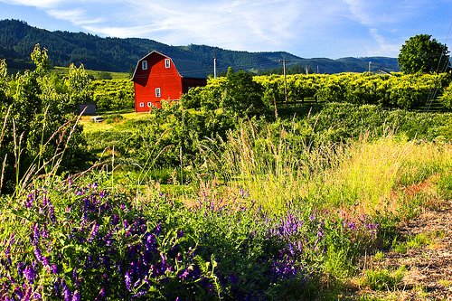 Klik op de afbeelding voor een vergroting Hood River 001