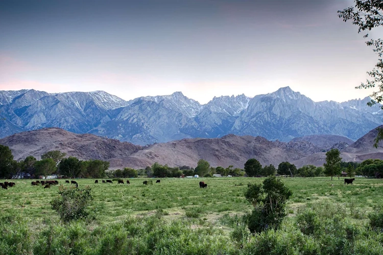 Best Western Frontier Motel omgeving.webp