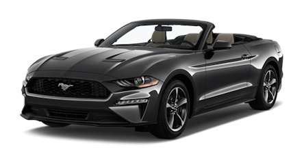 ALAMO USA STAR 001.jpg