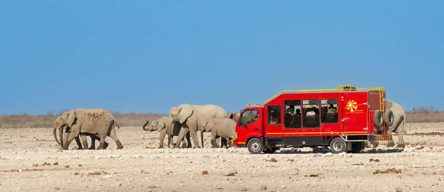 Etosha groot 001.webp