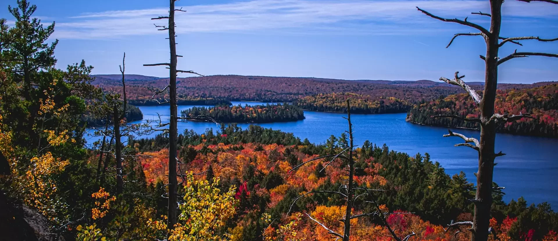 Algonquin Provincial Park 001 Photo by Dylan McLeod on Unsplash.webp