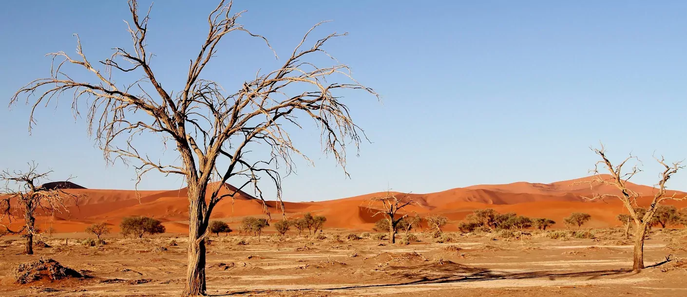 Op avontuur door Namibië Sossusvlei.webp