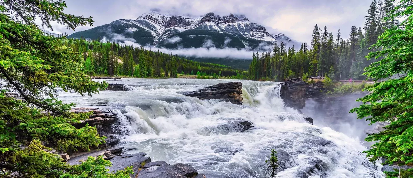 Alberta 16102025 002.webp