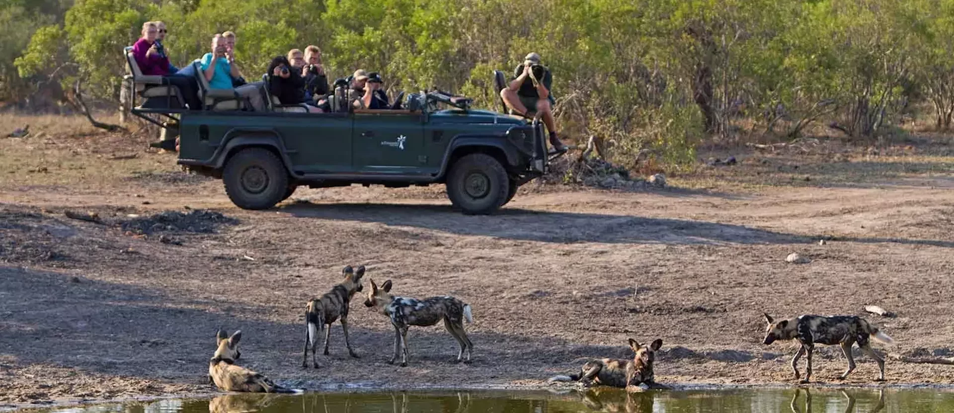 Kaapstad en Kruger sfeerfoto 007.webp
