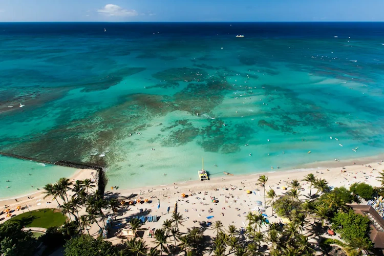 Hyatt Regency Waikiki Beach Resort and Spa omgeving 001.webp