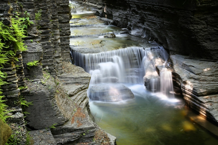 Finger Lakes Photo by Gary Yost 001.webp