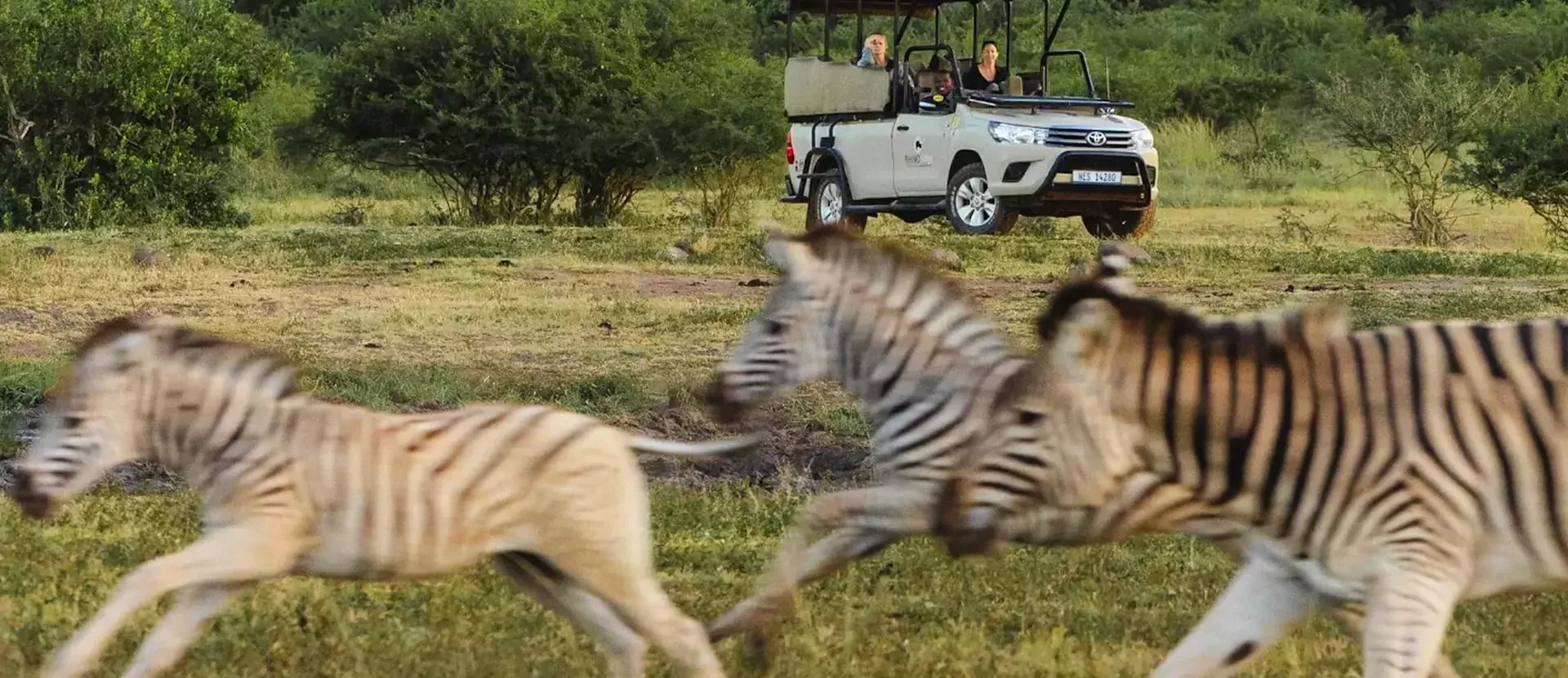 Familieavontuur door Zuid-Afrika Rhino Ridge Safari Lodge 002.webp