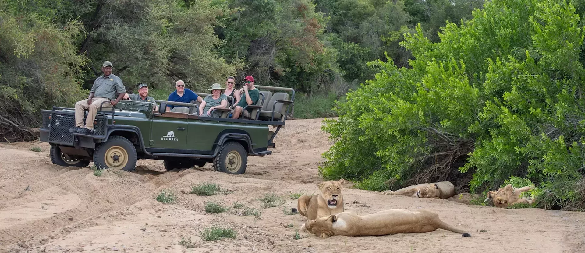 Familieavontuur door Zuid-Afrika Kambaku Safari Lodge gamedrive 001.webp