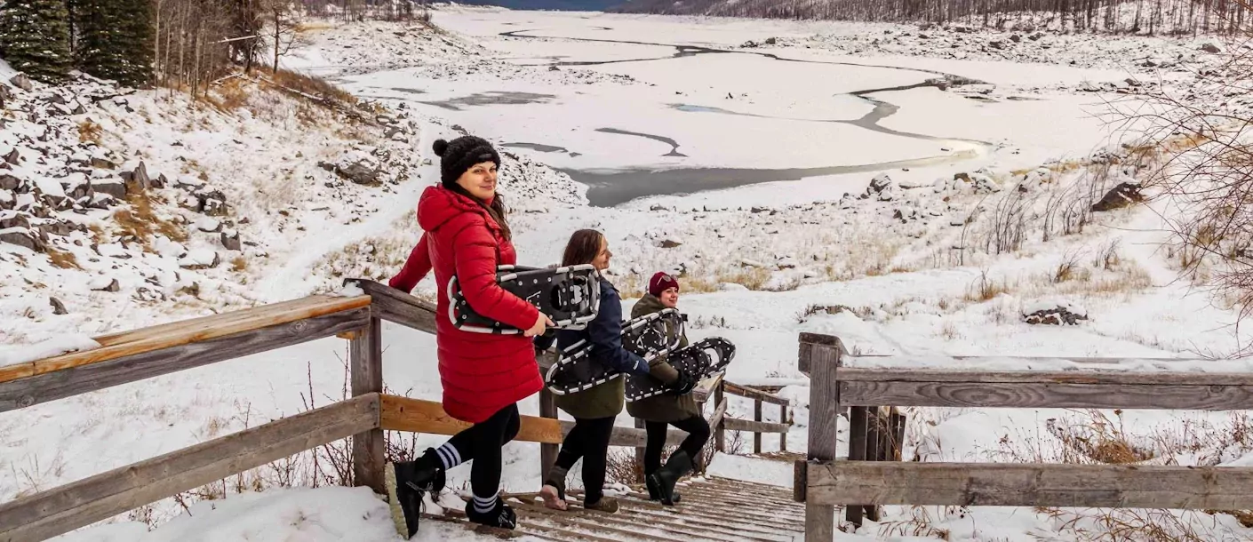 Jasper Snowshoe 113.webp