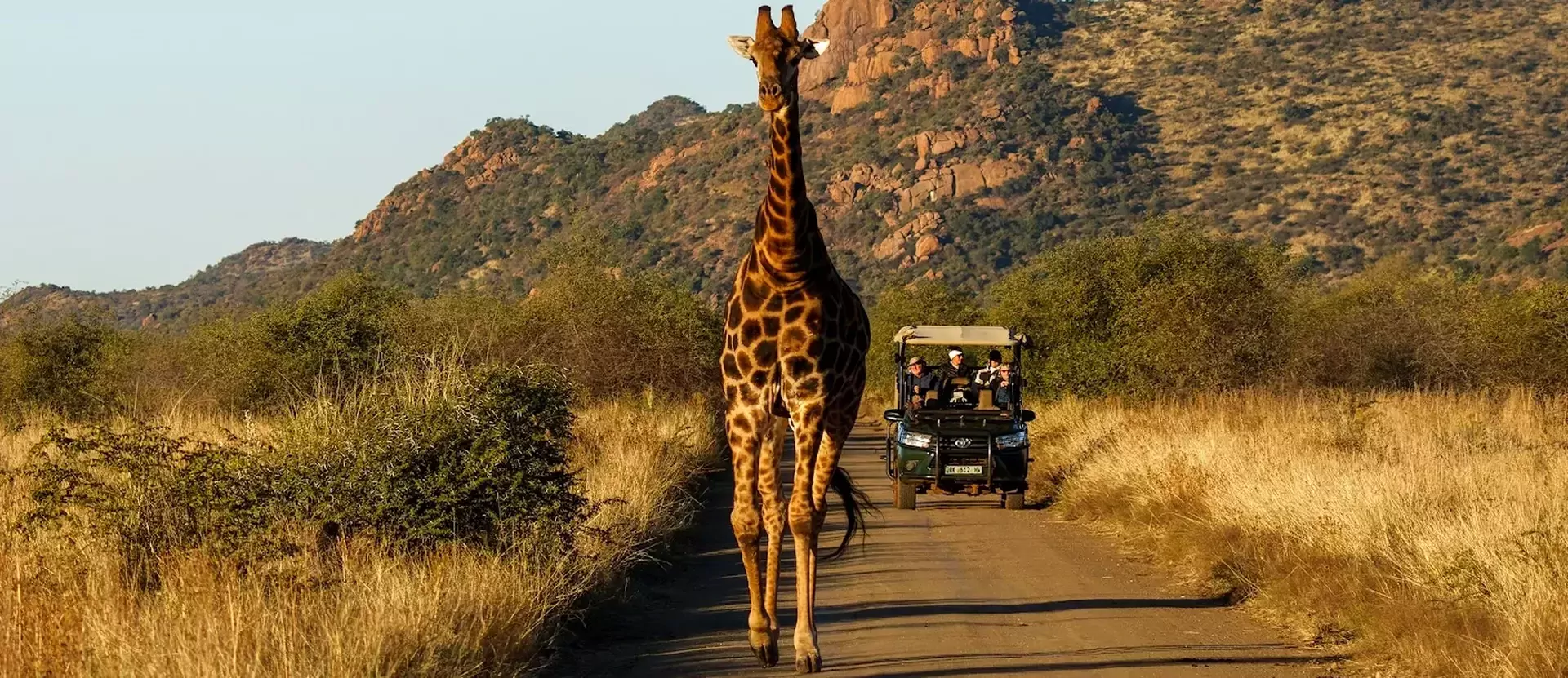 De Big Five Route van Zuid-Afrika Pilanesberg National Park sfeerfoto 007.webp