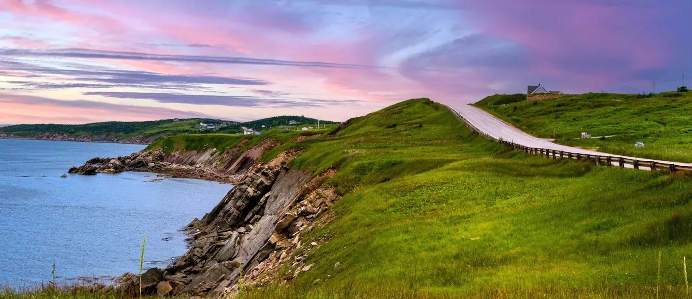 cabot trail groot.webp