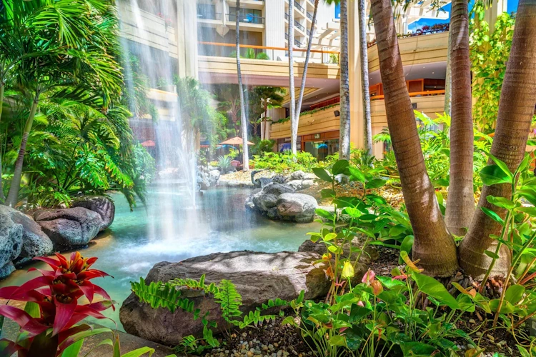 Hyatt Regency Waikiki Beach Resort and Spa tuin 001.webp