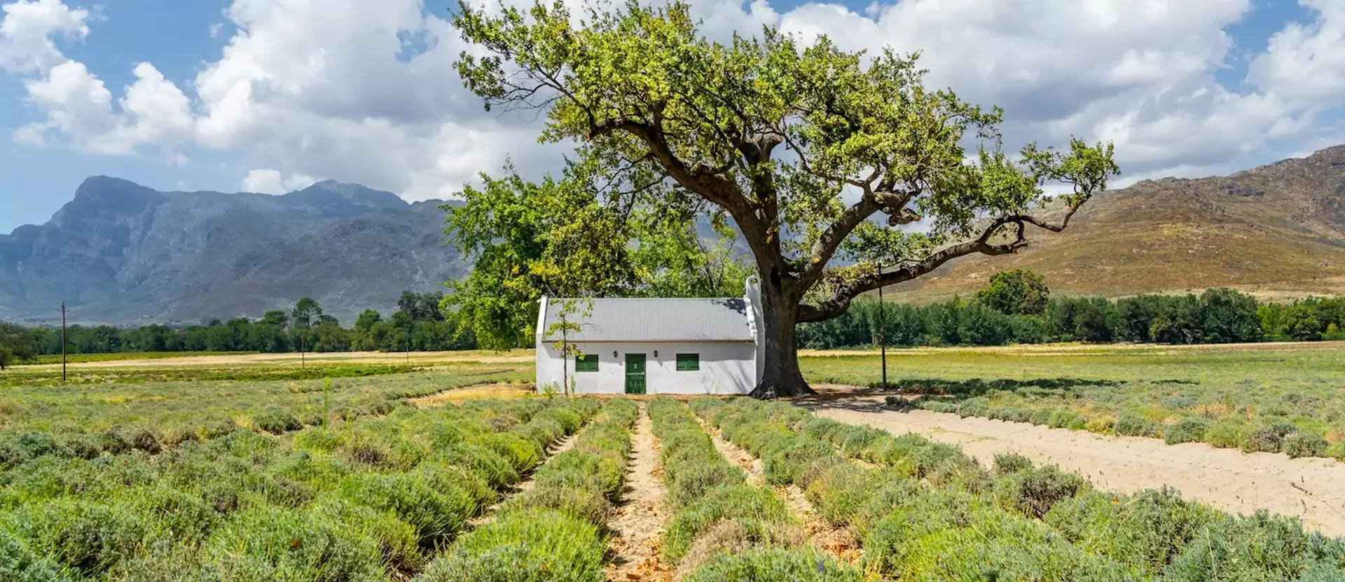 Franschhoek 01258.webp